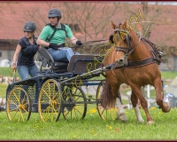 2POSIEUX 0377